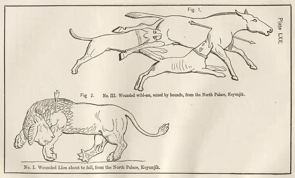 plate070